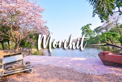 Morchit